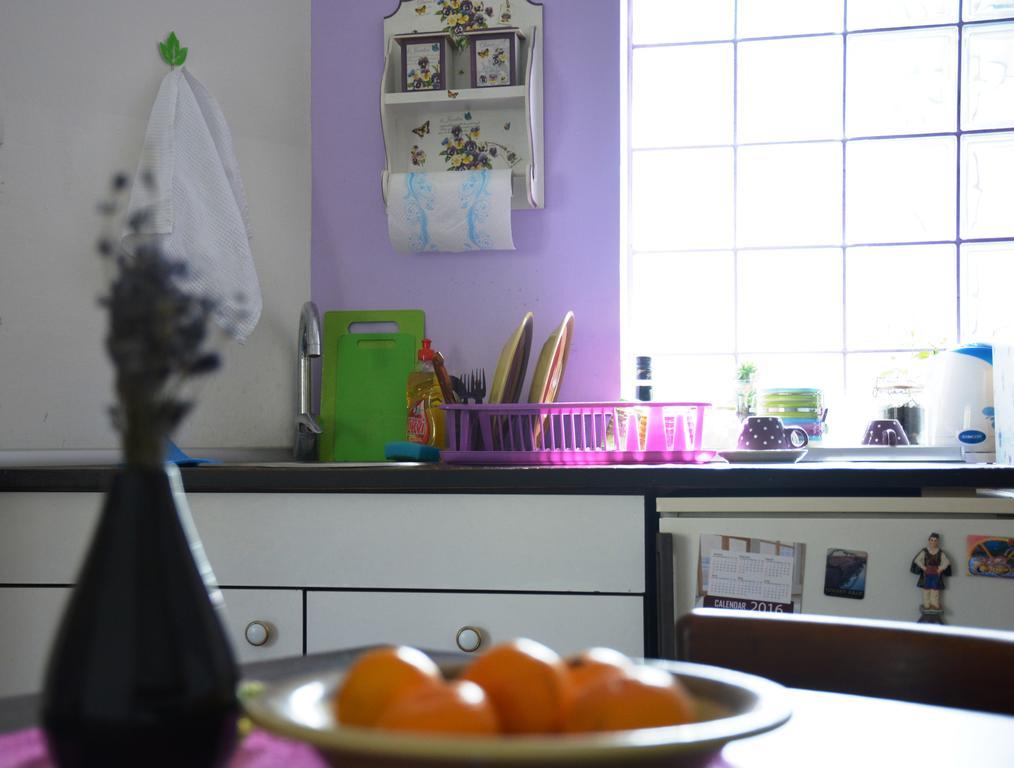 Cozy Downtown Apartment Belgrado Buitenkant foto